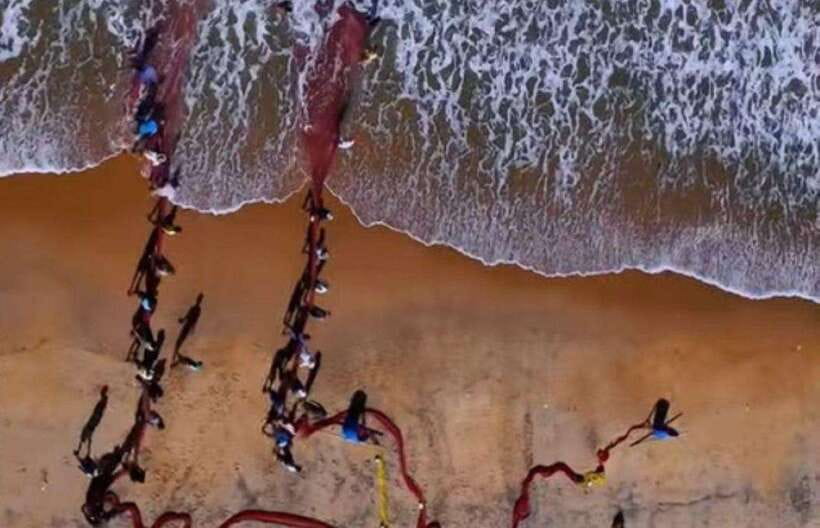 Colombo-Galle Fort, Boat Safari, Turtles, Amazing Group Tour - Key highlights to know before you go