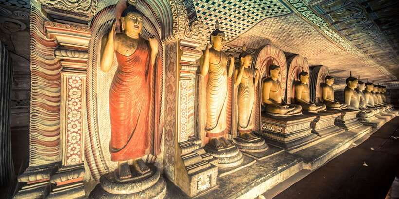 Colombo/Negombo to Sigiriya, Dambulla & Jeep Safari Day Tour - Should you book this Sigiriya and Dambulla day tour?
