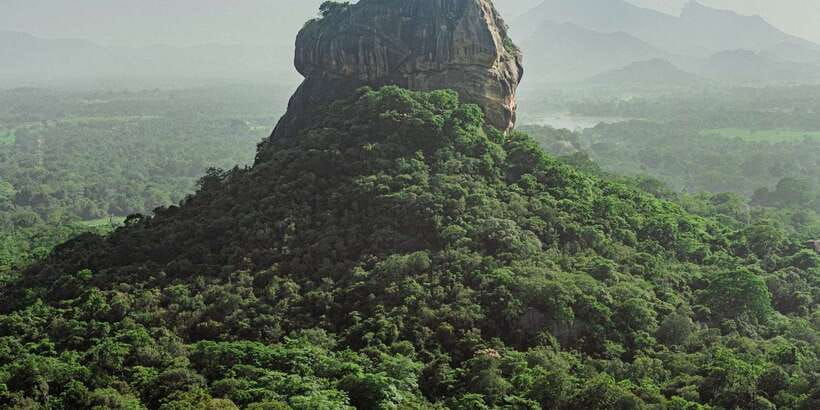 Colombo/Negombo to Sigiriya, Dambulla & Jeep Safari Day Tour - Herbal and Spice Garden: cinnamon, pepper, and ayurvedic everyday use