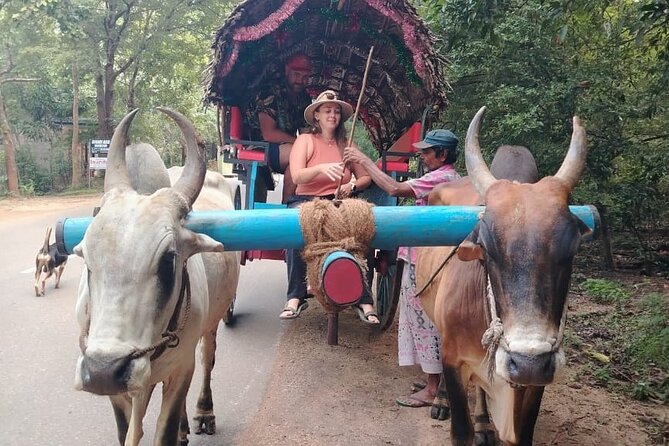 Colombo , Negombo to Trincomalee Transfer and Safari - Price and value: $135 per person for transfer + safari