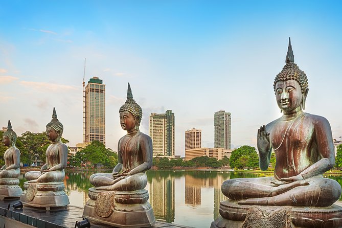 Colombo Port Private Shore excursion and Tours - Why the Colombo port pickup matters more than you think