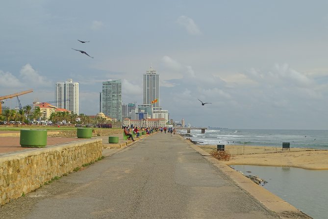 Colombo Shore Excursion from Cruise Port – Private Small Group - Meeting point: Secretariat Building near the Colombo port gates