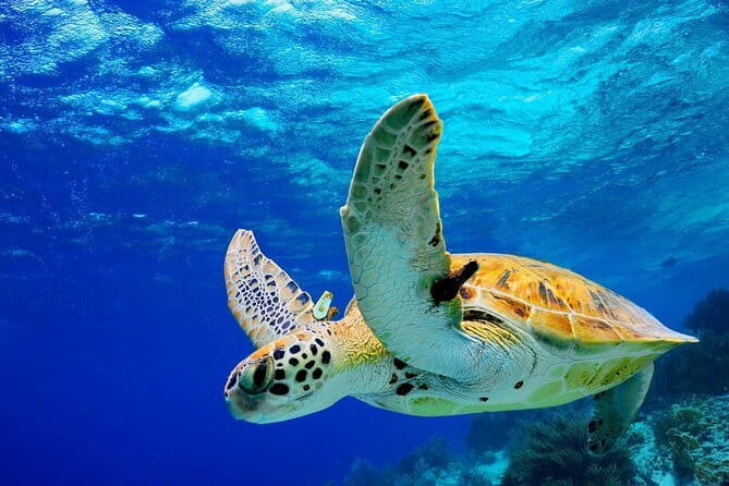 Colombo to Galle All Inclusive Private Day Tour - Key points to know before you go