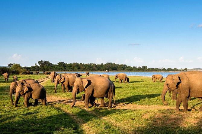 Colombo to Trincomalee Shuttle & Safari Drive - What you really get for $140 (and what costs extra)