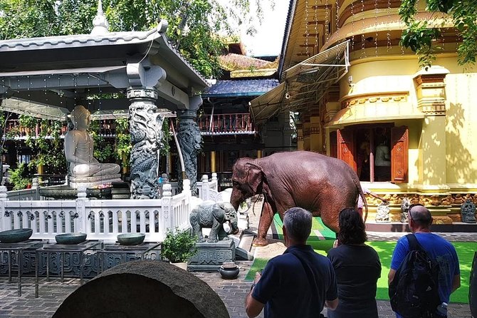 Colombo TUK TUK CITY Tours -Sightseeing Entry Fees - How guides turn a route into a story (and why safety matters)