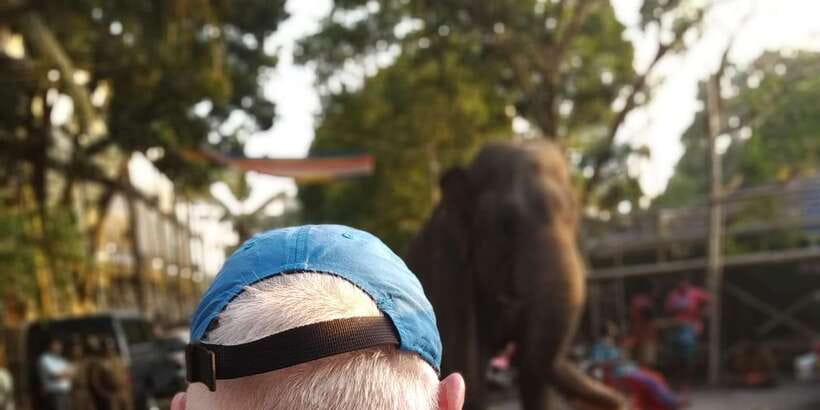 Colombo Tuk Tuk City TourSightseeing EntryFees& FoodIncluded - Key highlights to expect