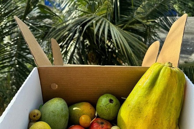 Cooking Class and Market Visit in Negombo - Should you book this Negombo cooking experience?