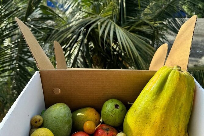 Cooking Class and Market Visit in Negombo - Entering the Negombo market: why it matters