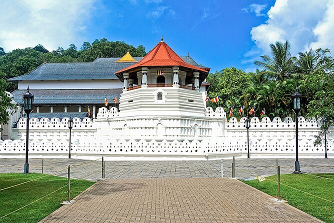 Customized 11-Day Flexible Sri Lanka Tour with Private Car - Why this Negombo start and private-car flow feels easier