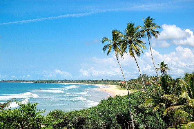 Customized 11-Day Flexible Sri Lanka Tour with Private Car - Kandy in full mode: spice garden stop, Sacred Tooth Relic, and a Kandyan dance show