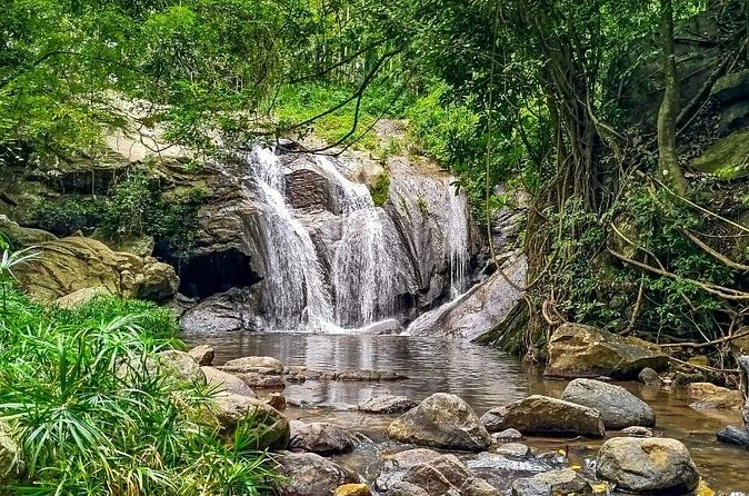 Customized Multi-Day Private Tour Packages in Sri Lanka - Price and logistics: is $375 per group up to 3 actually good value?
