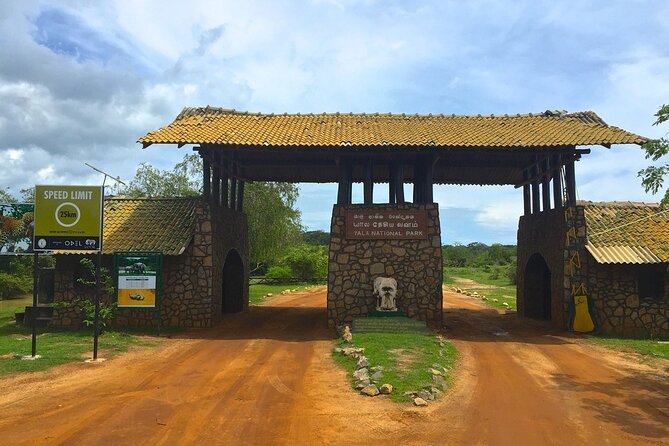 Day Excursion to Yala National Park From Colombo - Key things I’d zero in on before you book