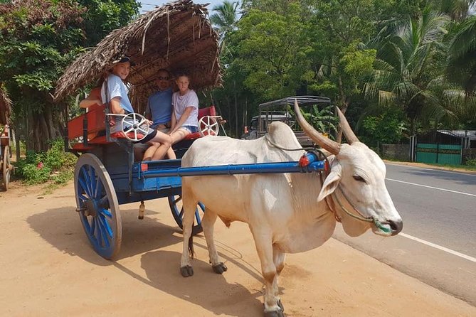 Day Tour of Sigiriya - Why this Sigiriya day trip works better than DIY