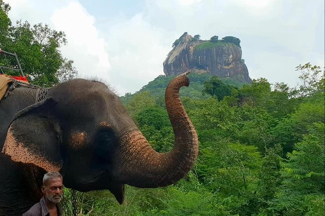 Day Tour of Sigiriya - Practical tips so the day feels smooth, not exhausting