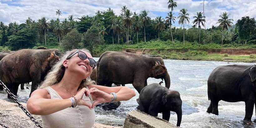Day Tour to Elephant Orphanage / spice garden - Value for $59: What You’re Paying For (and What You’re Not)