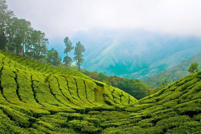 Day Tour to Nuwara Eliya from Kandy by Lux Tours Lanka - Ramboda Waterfall: free entry, fast views, plan your posture