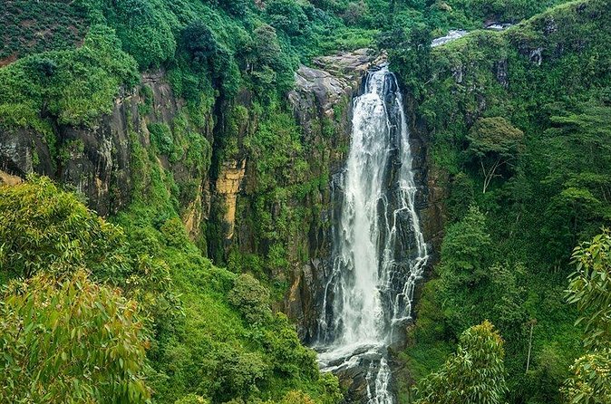 Day Tour to Nuwara Eliya from Kandy by Lux Tours Lanka - Victoria Park in Nuwara Eliya: the short walk that feels worth it