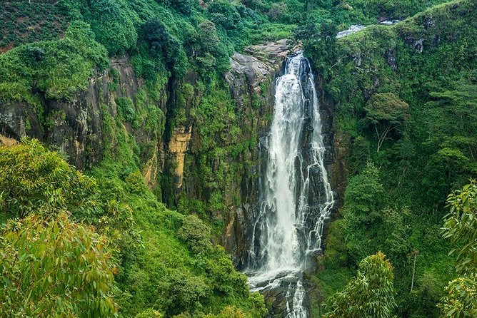 Day Tour to Nuwara Eliya from Kandy by Lux Tours Lanka - Hakgala Botanic Gardens: pay the fee for the plant collections