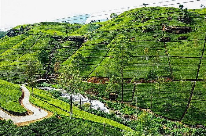 Day Tour to Nuwara Eliya from Kandy by Lux Tours Lanka - Food and extra time: how to make the day feel less rushed