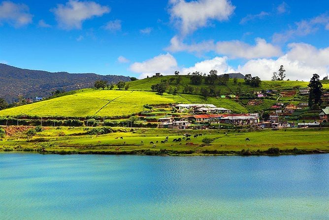 Day Tour to Nuwara Eliya from Kandy by Lux Tours Lanka - Gregory Lake: the most relaxed stop, with a few practical cautions