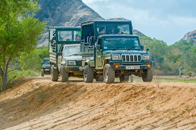 Day Tour to Wilpattu National Park from Colombo - Key Things to Know Before You Go to Wilpattu from Colombo