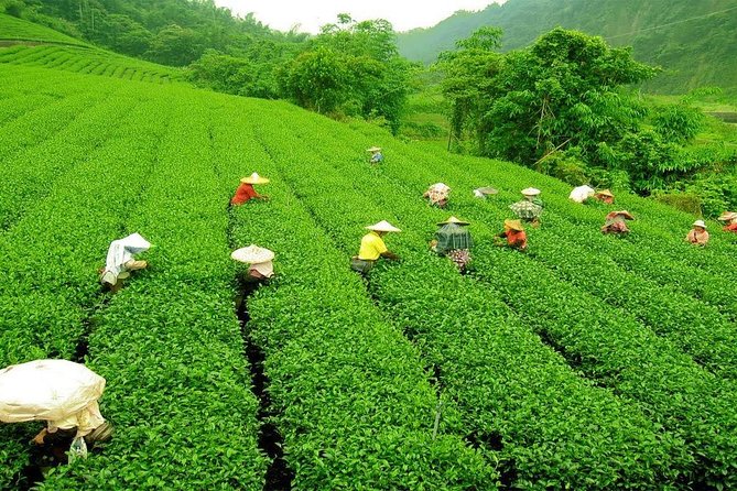 Day Trip to Nuwara Eliya with Kingfisher Tours - Gregory Lake: the calm break where you can slow your pace