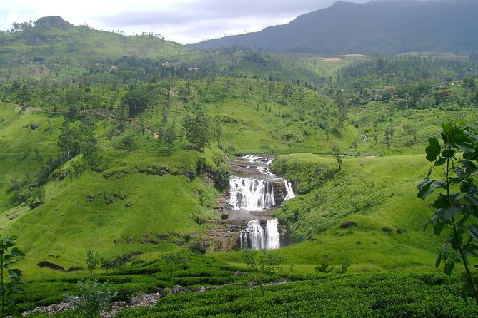 Day Trip to Nuwara Eliya with Kingfisher Tours - Price and value: $160 per group (up to 3) for a full day of stops