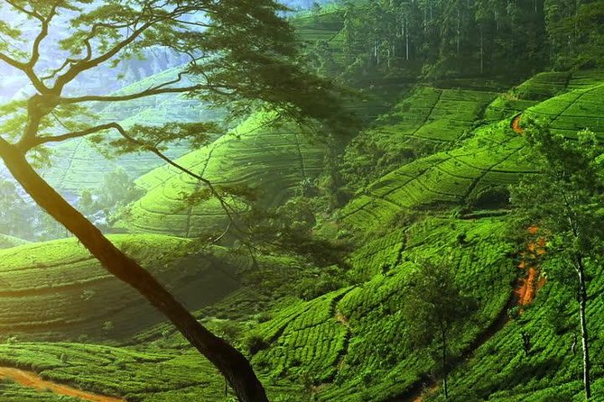 Day Trip to Nuwara Eliya with Kingfisher Tours - Sorborn Jewellery & precious-stone stop near Kandy: quick, organized, and sales-aware
