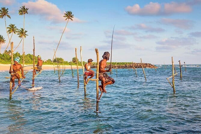 Day trips to Galle from colombo Visiting Its Highlights - Key highlights to expect in this Galle day