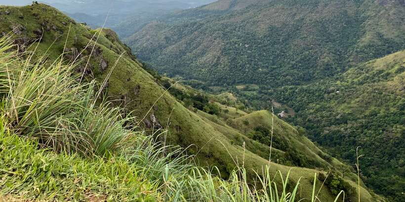 Discover the Best of Sri Lanka in 2 Days - Key highlights you’ll actually feel