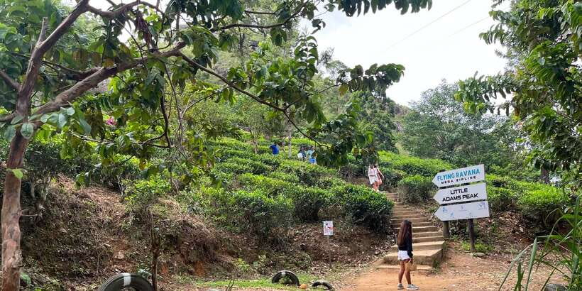 Discover the Best of Sri Lanka in 2 Days - Ramboda and Nuwara Eliya’s Old Post Office: tea-country vibes with colonial flavor