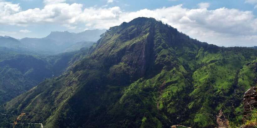 Ella: Tea Factory, Train, and Nine Arch Day Tour with Pickup - Key highlights that make this Ella day trip worth your time