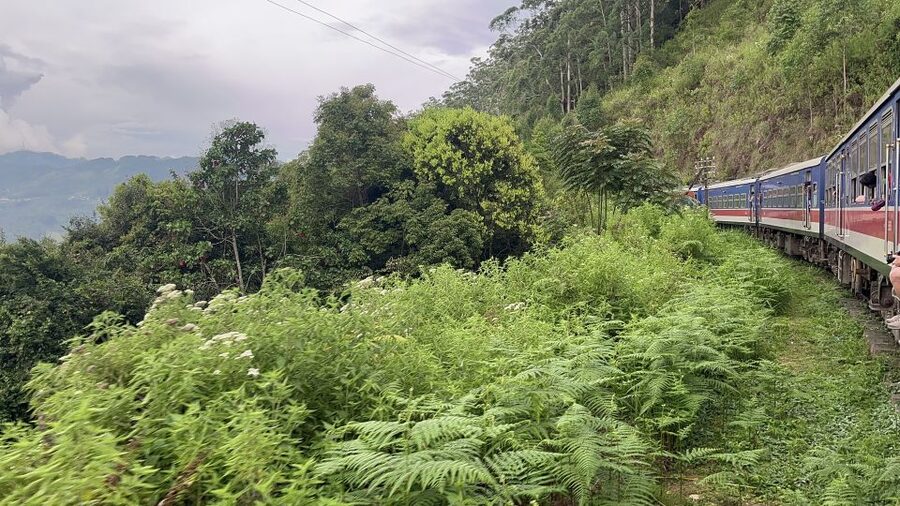 Ella: Tea Factory, Train, and Nine Arch Day Tour with Pickup - Ravana Waterfall: noise, spray, and a quick lesson in why Ella is famous