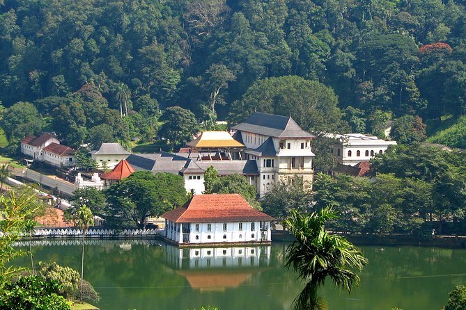 Exclusive : Last Kingdom Private Day Tour in Kandy - The long day from Colombo to Kandy (and why it still works)