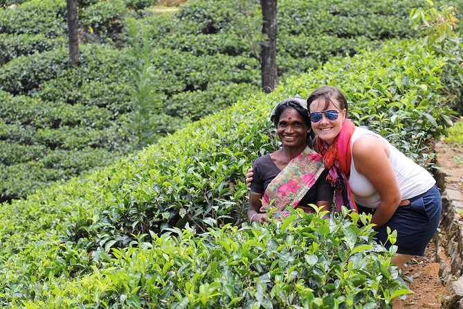 Exclusive : Last Kingdom Private Day Tour in Kandy - Kandy city stops: Market Square, Upper Lake Drive, gems, and wood