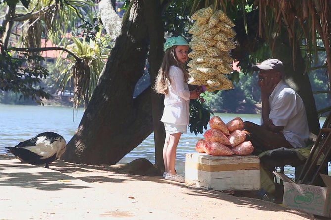 Exclusive : Last Kingdom Private Day Tour in Kandy - Private guide experience: the difference between info and pushing