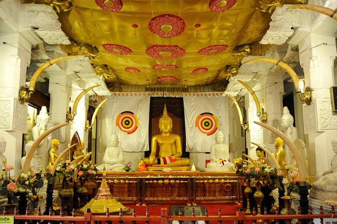 Exclusive : Last Kingdom Private Day Tour in Kandy - Price and value: is $105 per person fair?