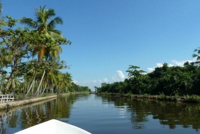 Exclusive: Muthurajawela Bird Watching Tour with Transfers - Key moments that make this tour worth it