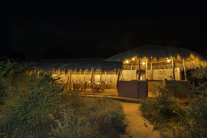 Exclusive : Overnight Leopard Safari with Luxury Glamping - Key things to know before you go