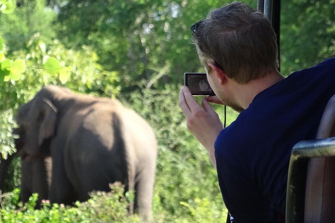 Exclusive : Overnight Leopard Safari with Luxury Glamping - Day 1 wildlife expectations: what you’ll look for on the first drive