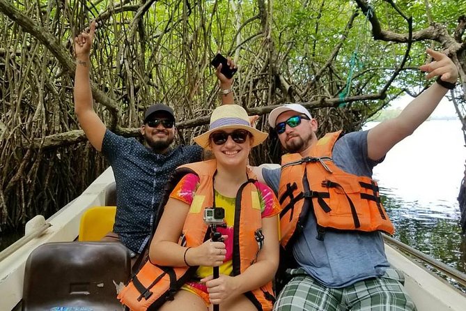 Exclusive: Southern Sri Lanka Sightseeing Private Day Trip - Kosgoda Sea Turtle Conservation Project: A Short Visit with Real Meaning