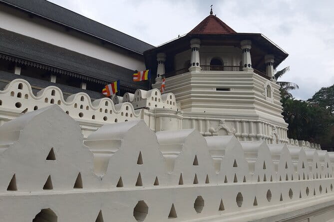Explore Sigiriya, Kandy,Nuwaraeliya,Galle From Colombo - From Colombo-area pickup to Minneriya safari time (Day 1’s wildlife focus)