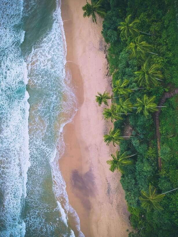 Explore the MAGIC of Sri Lanka in 7days -4 Star hotels Incl. - The pacing that makes 7 days actually feel like 7 days