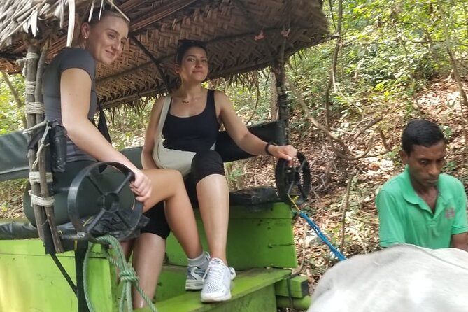 Explore Wonders of Sri Lanka 7 Days Private Tour - A Colombo-based 7-day loop that hits rocks, tea, whales, and fort streets