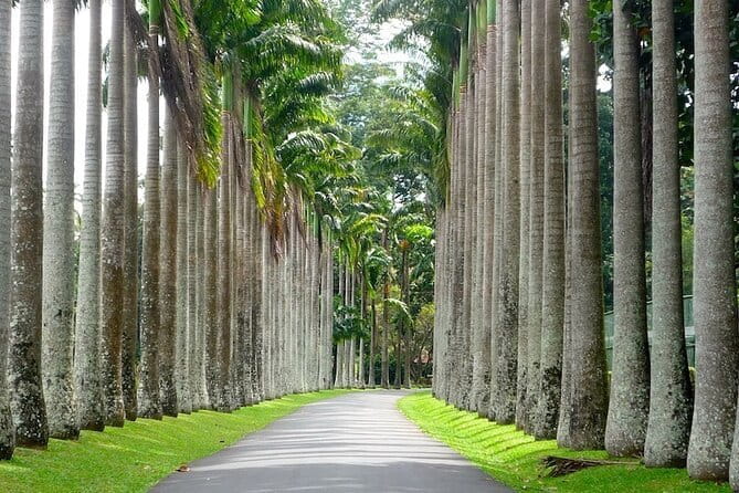 From Colombo Airport to Sigiriya or Kandy Private Transfer - Should You Book This Private Airport Transfer?