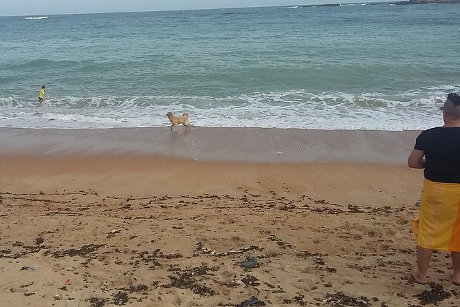 From Colombo: Full-Day Galle Tour - First taste of Galle Fort and the Dutch old town area