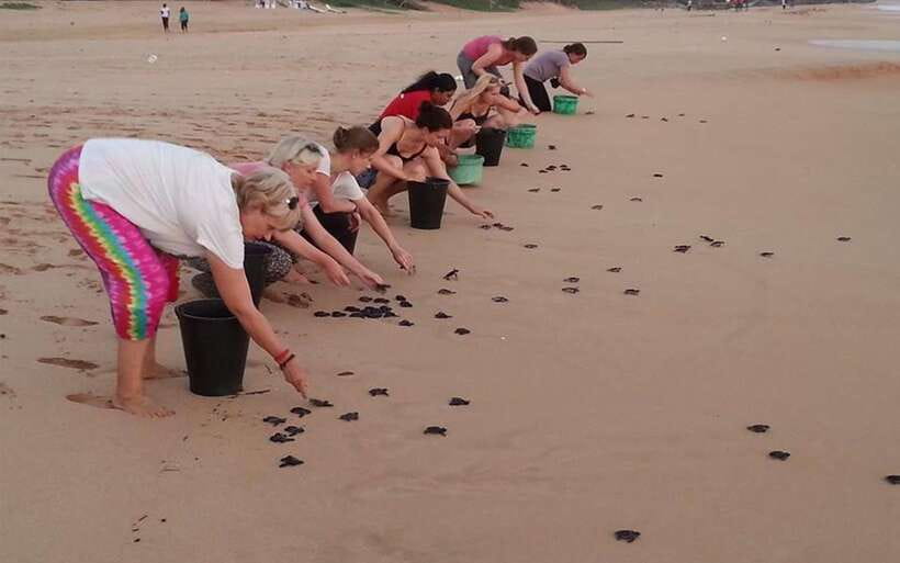 From Colombo: Galle, Bentota Coastal Highlights Private Tour - Who This Tour Fits Best
