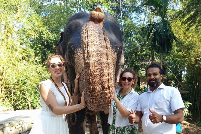 From Colombo: Kandy and Pinnawala Full-Day Trip - Key highlights that make this day trip work
