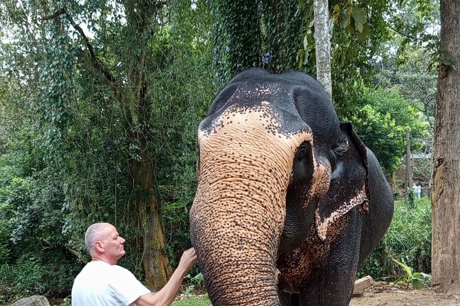 From Colombo: Kandy and Pinnawala Full-Day Trip - How a 6:00am start shapes your Kandy day