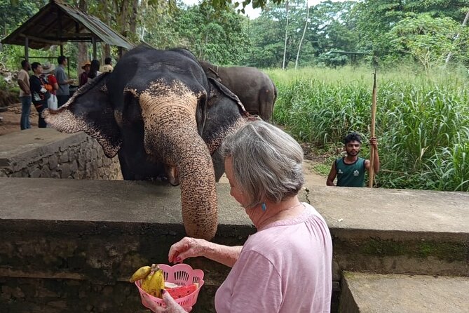 From Colombo: Kandy and Pinnawala Full-Day Trip - Kandy Lake Club Cultural Show: what to watch for